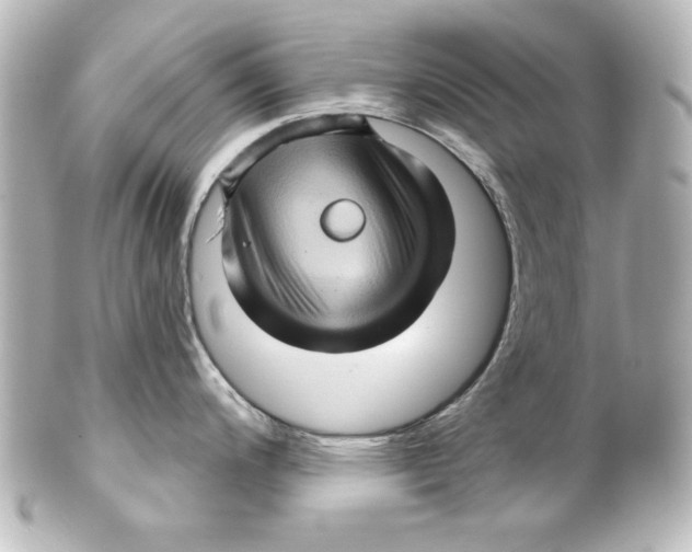 X0000101451200200808041011