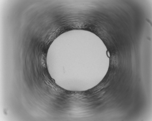 X0000101451202200808041010