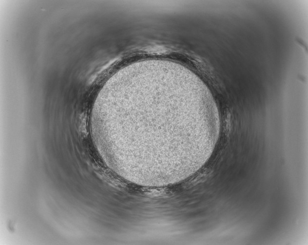 X0000101451205200808041010