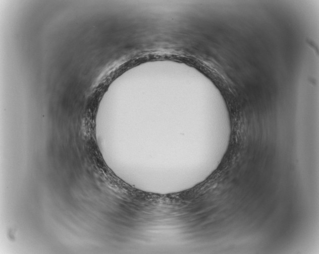 X0000101451207200808041010