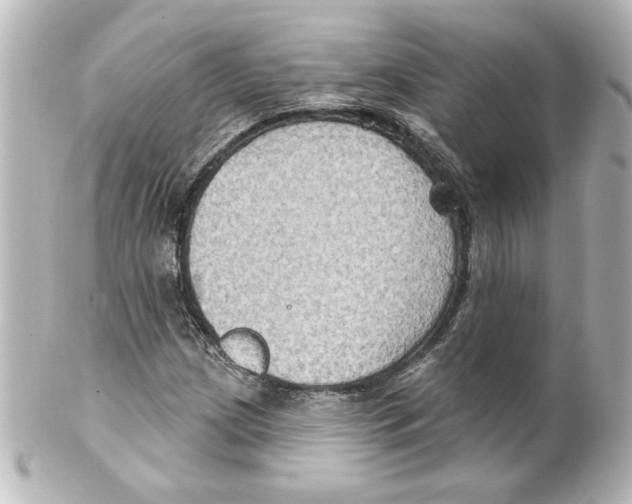 X0000101451209200808041011