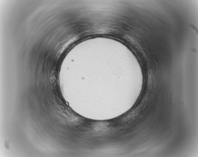 X0000101451210200808041011