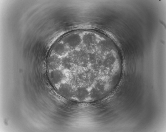 X0000101451212200808041011