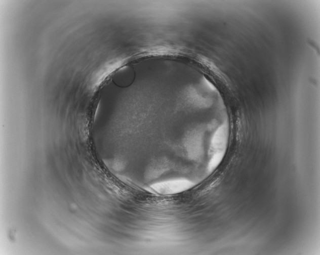 X0000101451213200808041011