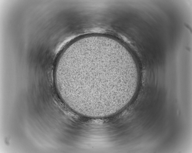 X0000101451214200808041011