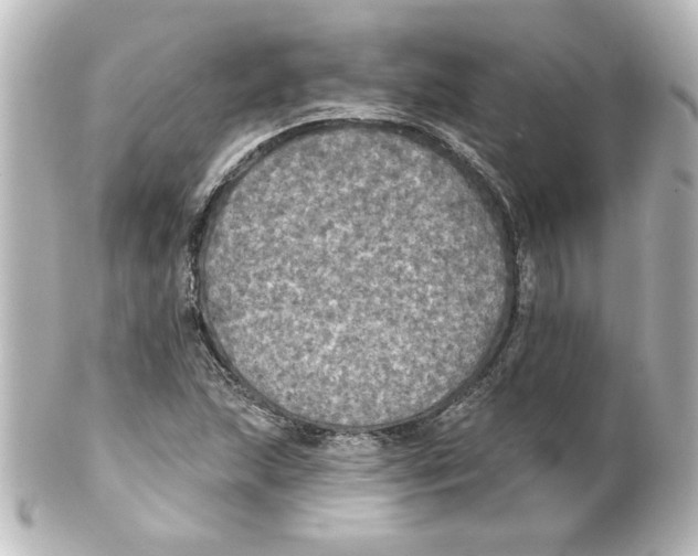 X0000101451215200808041011