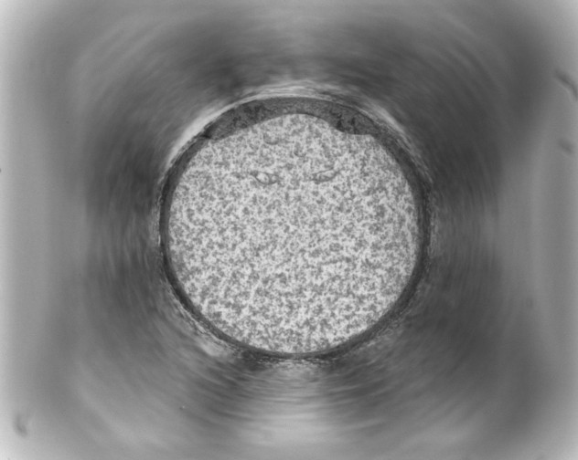 X0000101451216200808041011