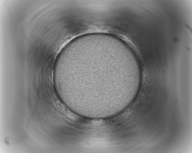 X0000101451220200808041011