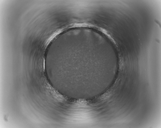 X0000101451221200808041011