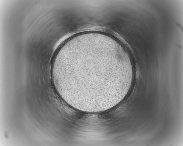 X0000101451222200808041011