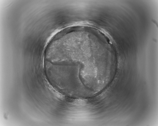 X0000101451224200808041011