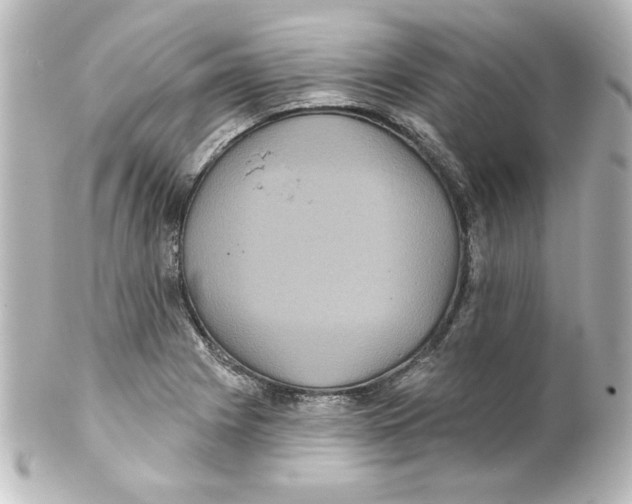 X0000101451225200808041011