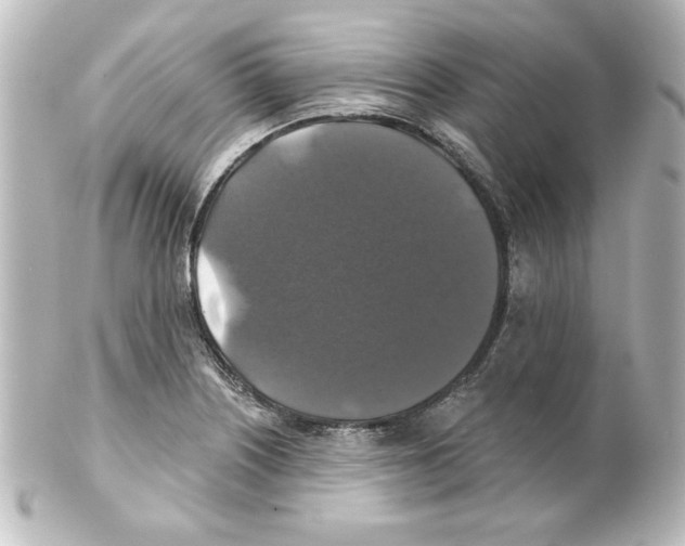 X0000101451226200808041011