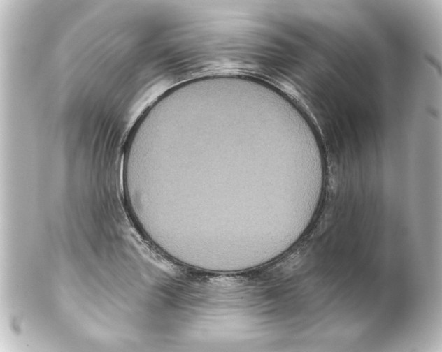 X0000101451227200808041011