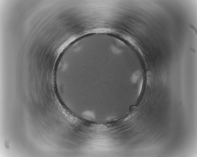 X0000101451229200808041011