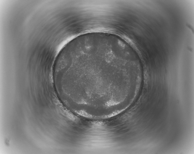 X0000101451230200808041011