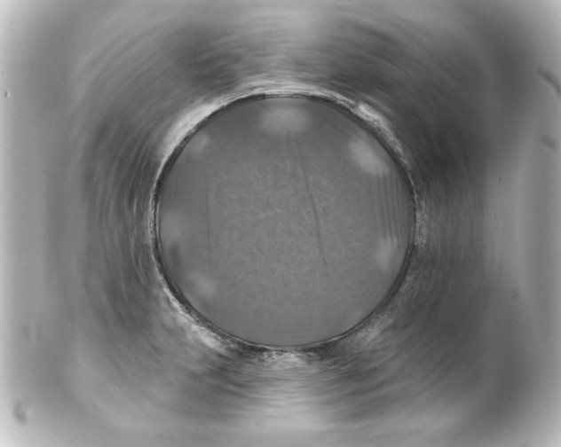 X0000101451231200808041011