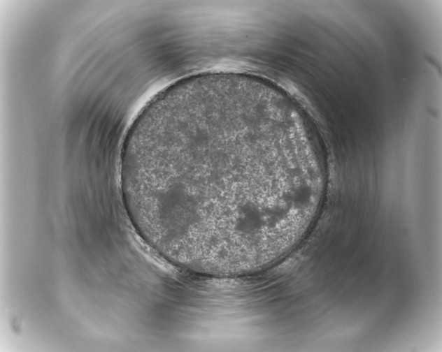 X0000101451232200808041011