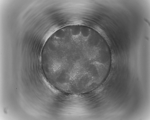 X0000101451234200808041011