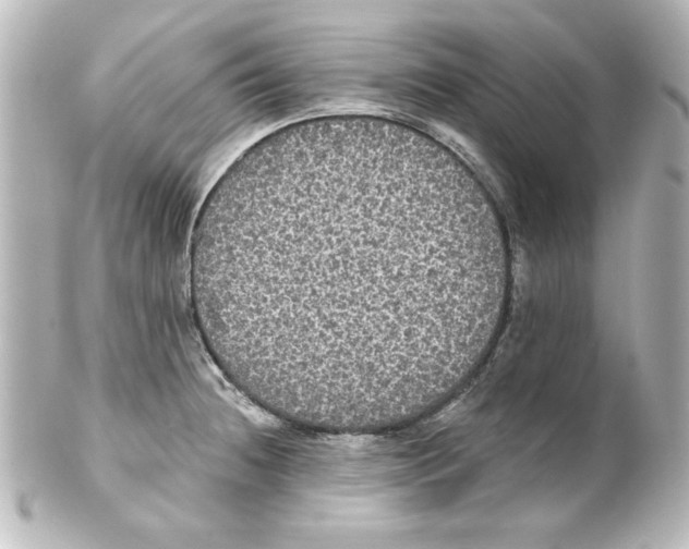 X0000101451236200808041011