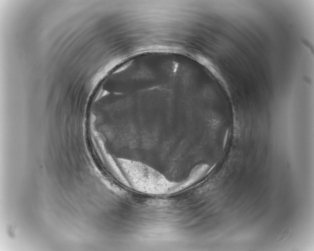 X0000101451237200808041011