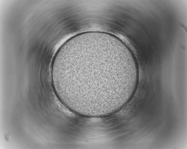 X0000101451238200808041011