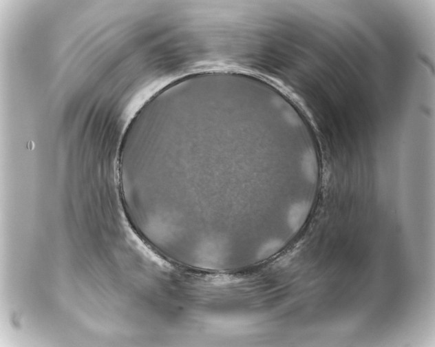 X0000101451239200808041011