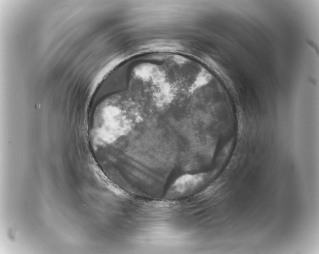 X0000101451240200808041011