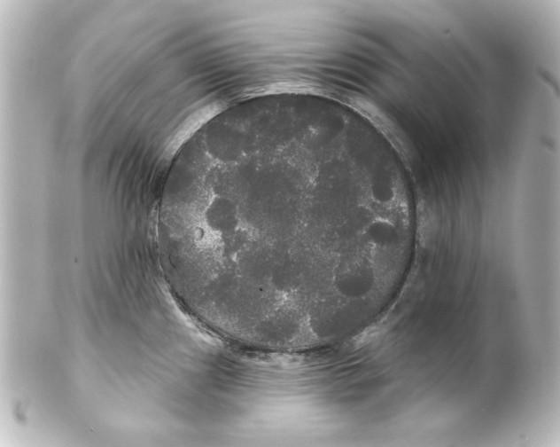 X0000101451241200808041011