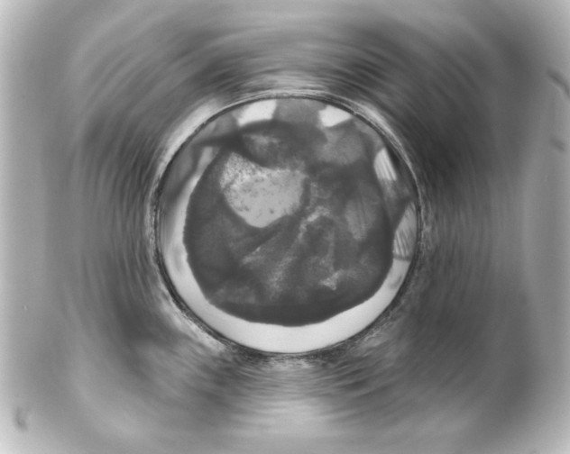 X0000101451243200808041011