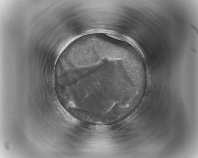 X0000101451244200808041011