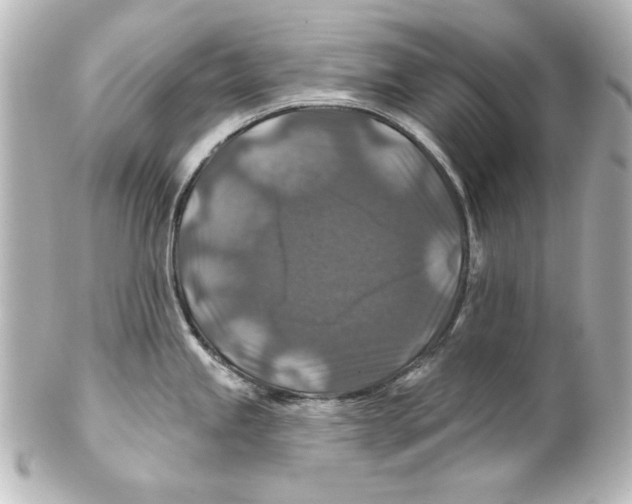 X0000101451245200808041011