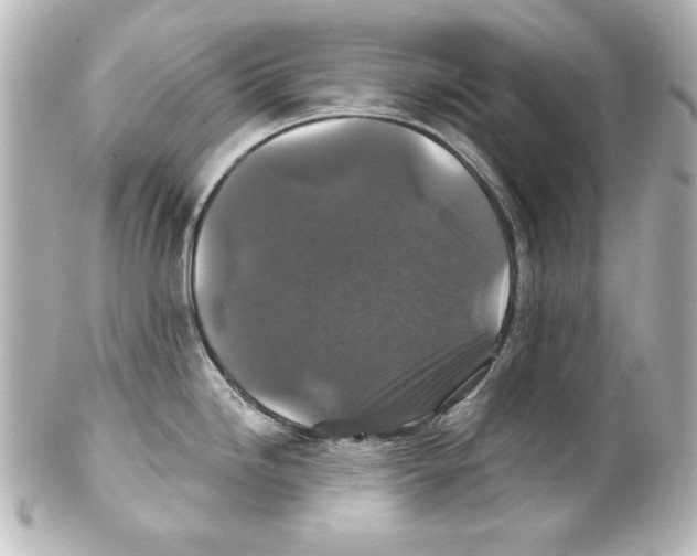 X0000101451246200808041011