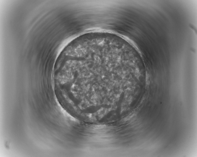 X0000101451247200808041011