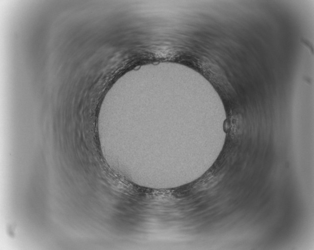 X0000101451249200808041010