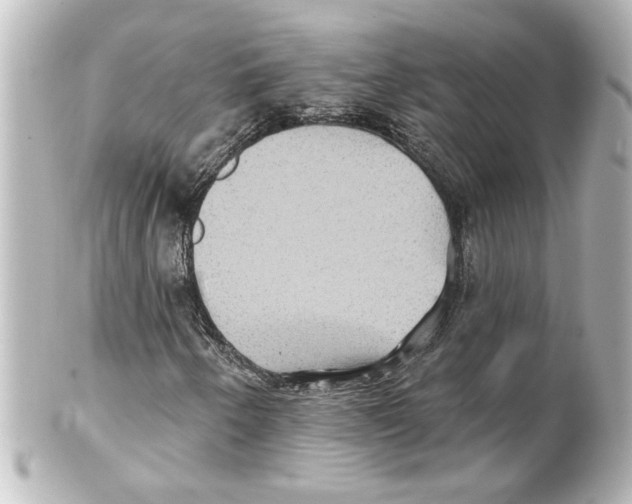 X0000101451250200808041010