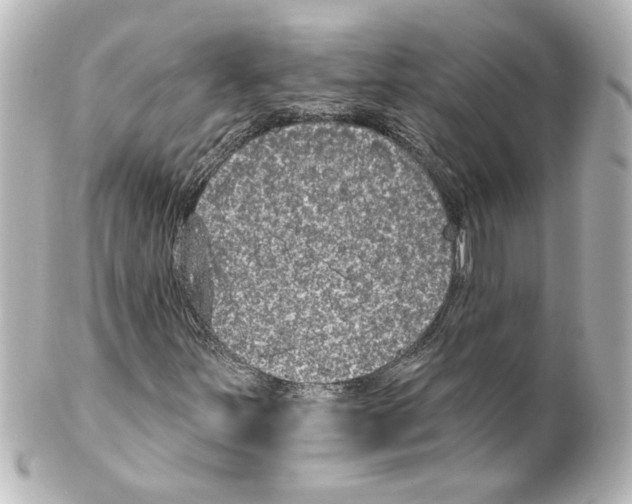 X0000101451251200808041010