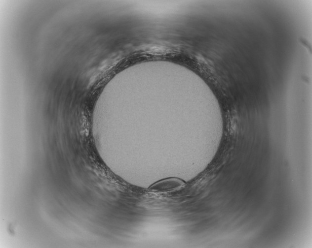 X0000101451253200808041010