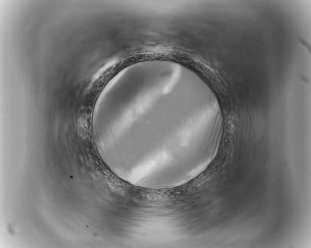 X0000101451254200808041010