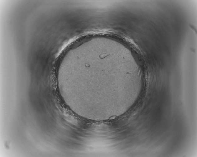 X0000101451256200808041010