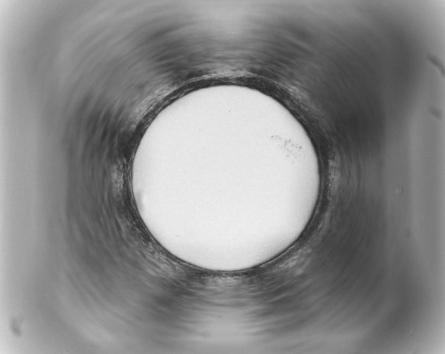 X0000101451257200808041010