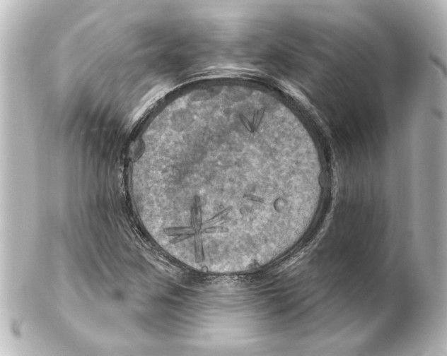 X0000101451259200808041010