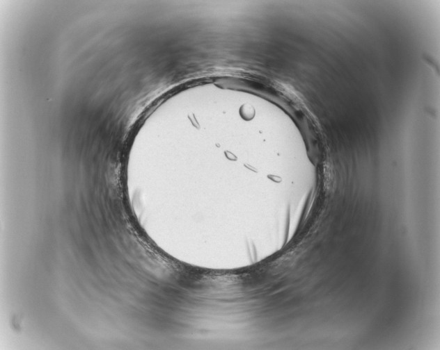 X0000101451260200808041010