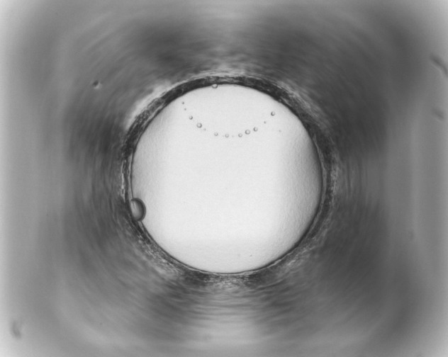 X0000101451262200808041010