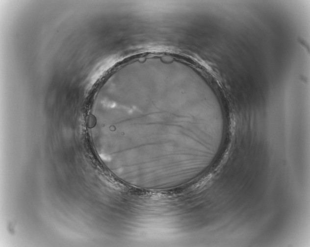 X0000101451263200808041010