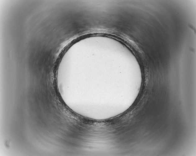 X0000101451264200808041010