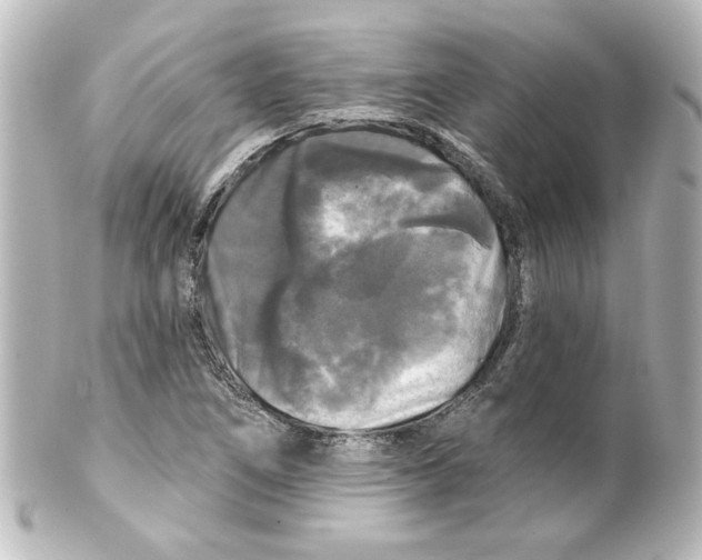 X0000101451266200808041010