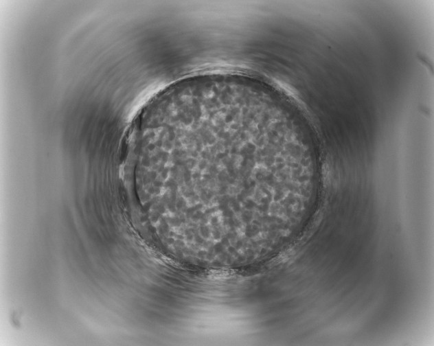 X0000101451267200808041010