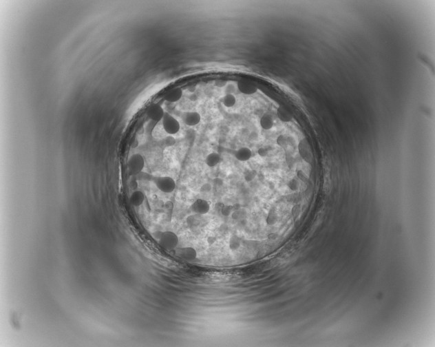 X0000101451271200808041010