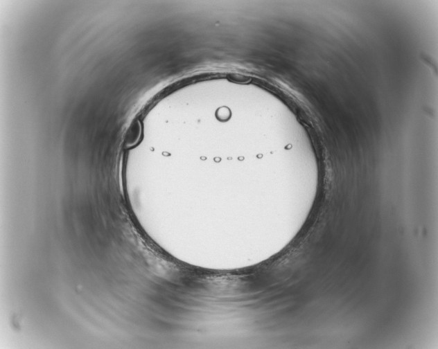 X0000101451272200808041010